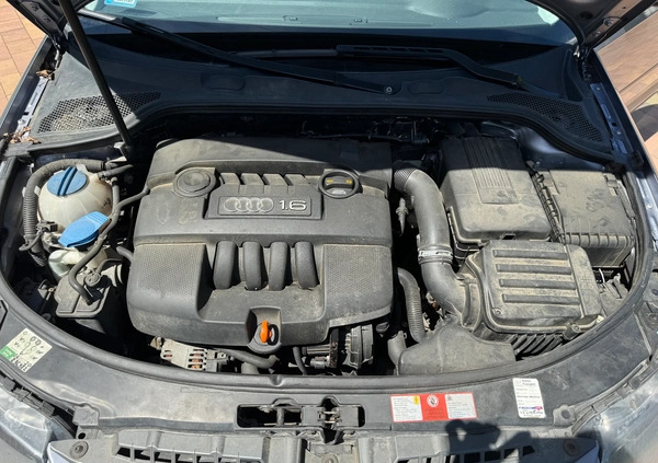 Audi A3 cena 20900 przebieg: 253000, rok produkcji 2006 z Katowice małe 106